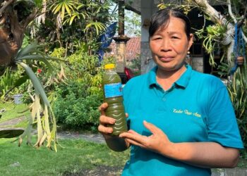 Ketut Suariani, Peramu Loloh Cemcem dari Desa Aan