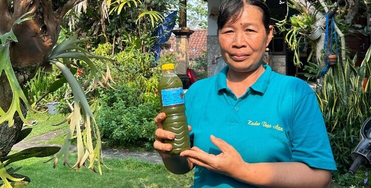 Ketut Suariani, Peramu Loloh Cemcem dari Desa Aan