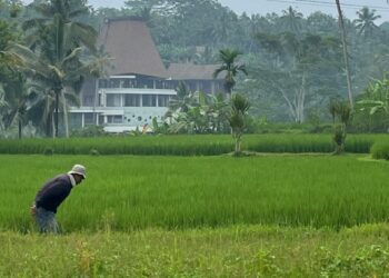 Menguatnya Kontrol Global dan Melemahnya Kontrol Lokal atas Lahan-lahan di Bali