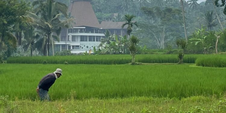 Menguatnya Kontrol Global dan Melemahnya Kontrol Lokal atas Lahan-lahan di Bali