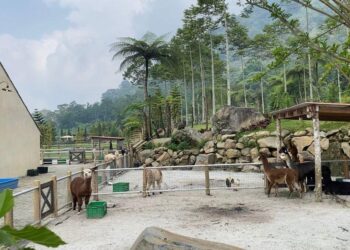 Meninggalkan Hiruk-Pikuk Kota dengan Keindahan Sederhana di Bali Farm House, Pancasari-Buleleng