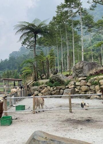 Meninggalkan Hiruk-Pikuk Kota dengan Keindahan Sederhana di Bali Farm House, Pancasari-Buleleng