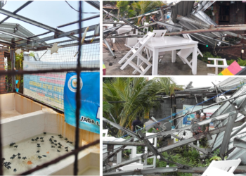 Tukik Kehujanan di Pantai Penimbangan: Atap Penangkaran Diterbangkan Angin yang Kencang Sekali