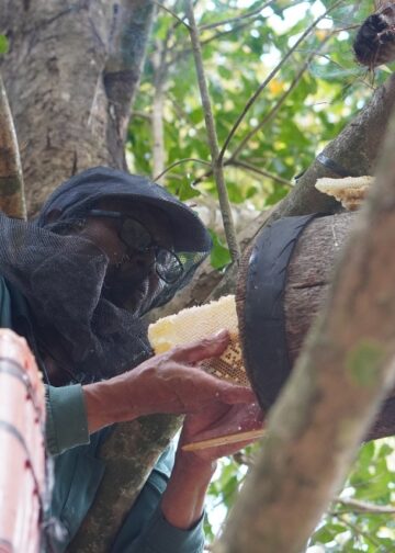 Nyoman Sukerta, Petani Cengkih dari Tajun, Juga Bertani Madu Agar Bali Tetap Manis