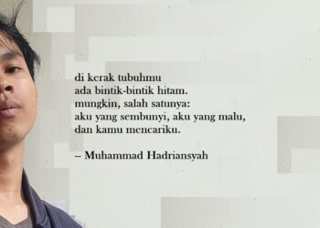 Puisi-puisi Muhammad Hadriansyah | Hutan Kabut, Kumbang Koksi