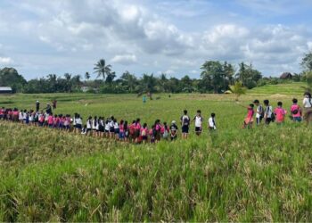 Mengenal Sawah dan Ekosistemnya melalui “Jelajah dan Belajar” di Subak Tegallinggah, Tabanan