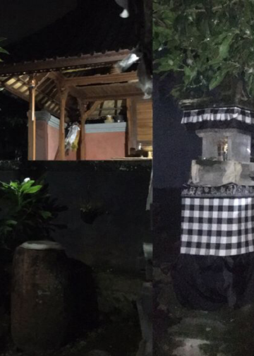 Kepemimpinan “Punyan”
