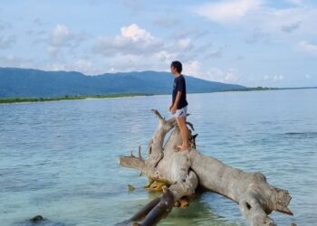 Refleksi Perjalanan: Antara Ujung Kulon dan Baluran