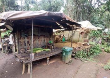 Apa Tantangan Arsitektur di Bali Saat ini dan Masa yang akan Datang?