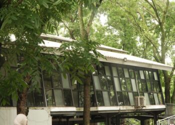 Kantin Sela Pohon di Kampus Unnes Semarang, Sebuah Space untuk Bernapas dan Berpikir