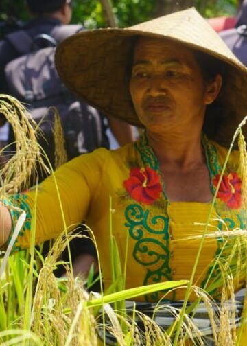 Parade Panen Padi, Sebuah Teatrikal Hidup di Subak Tingkihkerep, Tengkudak-Tabanan