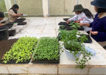 SMKN 1 Petang: Dari Lahan Sekolah, Mencetak Generasi Muda Cinta Pertanian