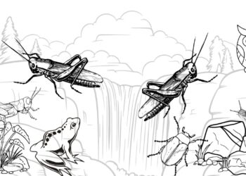 Serangga dan Kenangan Hidup Tak Biasa