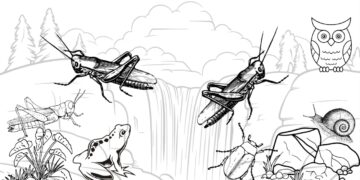 Serangga dan Kenangan Hidup Tak Biasa