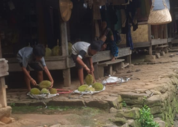 Sekilas Informasi Wisata  Saba Budaya  Baduy