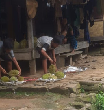 Sekilas Informasi Wisata  Saba Budaya  Baduy