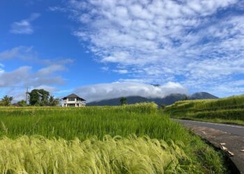 Desa Wisata Jangan Hanya Sibuk Kejar Juara