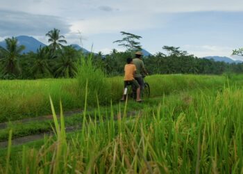 Tung Tung Uma di LATAR #1: Film Tentang Refleksi Sebuah Perubahan di Tanah Bali