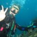 BUMDes Bondalem Kembangkan “Eco Dive”, Biar Turis Bisa Menonton Keindahan Biota Laut di Kedalaman