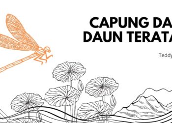 Capung dan Daun Teratai | Dongeng dari Papua