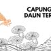Capung dan Daun Teratai | Dongeng dari Papua