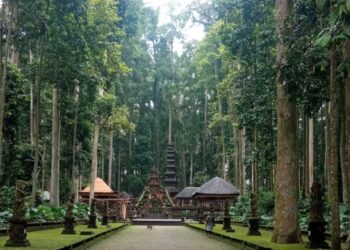 Obyek Wisata Alas Pala di Desa Sangeh: Menonton Kera, Menikmati Taman-Hutan dan Sejuk Pepohonan