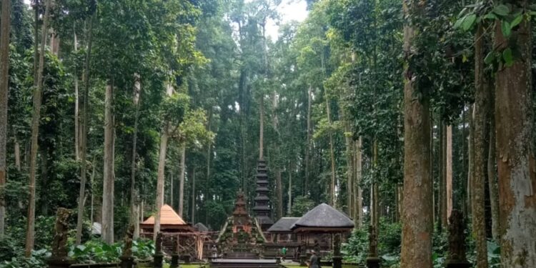 Obyek Wisata Alas Pala di Desa Sangeh: Menonton Kera, Menikmati Taman-Hutan dan Sejuk Pepohonan