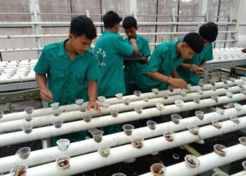 Satuan Pendidikan dan Pengelolaan Sampah