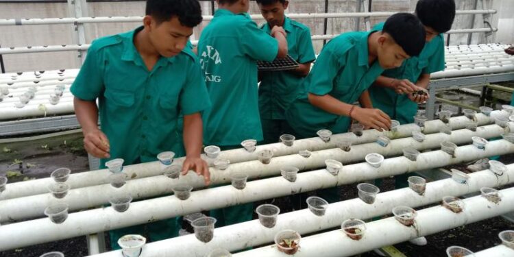 Satuan Pendidikan dan Pengelolaan Sampah