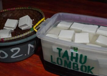 Kontak Sosial Singaraja-Lombok: Dari Perdagangan, Perkawinan hingga Pendidikan