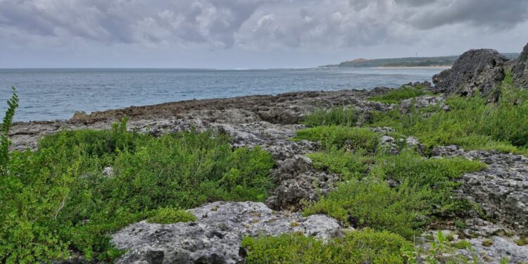 Nyepi di Gumi Delod Ceking Dekade 1970-an