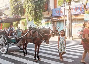 Komang Yasa, Setia Pada Zaman, Setia Merawat Peradaban Dokar di Singaraja