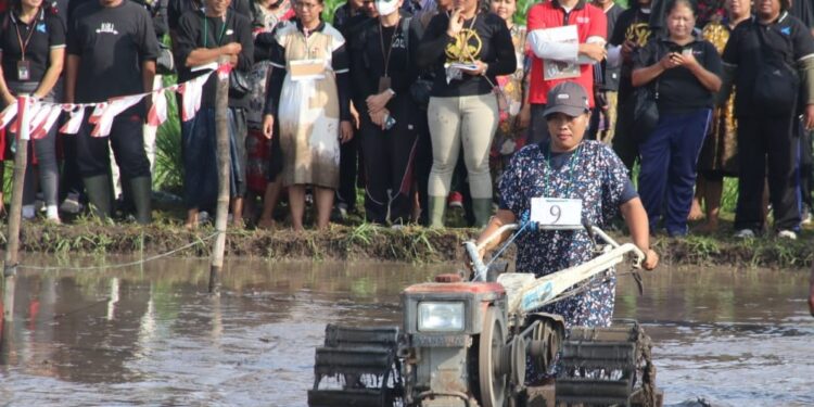 Ketika ASN Dinas Pertanian Buleleng Balap Traktor: Bak Petani, Mereka Berkeringat dan Berlumpur