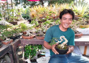Hendrik Zumario, Sehari-hari Memupuk Bonsai dengan Kesabaran dan Keuletan