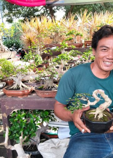 Hendrik Zumario, Sehari-hari Memupuk Bonsai dengan Kesabaran dan Keuletan