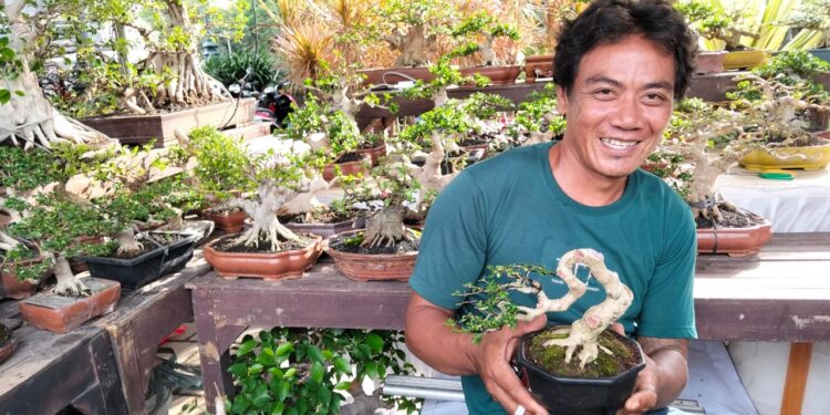 Hendrik Zumario, Sehari-hari Memupuk Bonsai dengan Kesabaran dan Keuletan