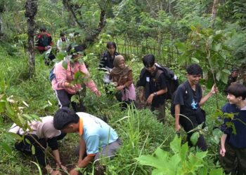 Kolaborasi Internasional Tanam Pohon di Pedawa: PBJ Undiksha, Universitas Iwate Jepang dan Kayoman