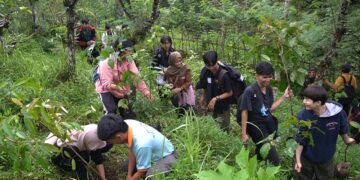 Kolaborasi Internasional Tanam Pohon di Pedawa: PBJ Undiksha, Universitas Iwate Jepang dan Kayoman