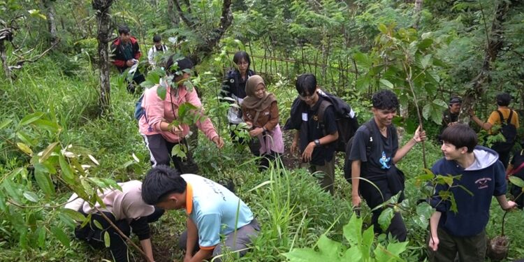 Kolaborasi Internasional Tanam Pohon di Pedawa: PBJ Undiksha, Universitas Iwate Jepang dan Kayoman
