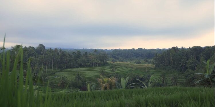 Refleksi Spiritual Nyepi, Tumpek Wariga, dan Idulfitri dalam Pendidikan Pertanian