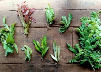 Mbah Candi dan Tangan yang Meracik Ramuan Pelancar Air Susu Ibu