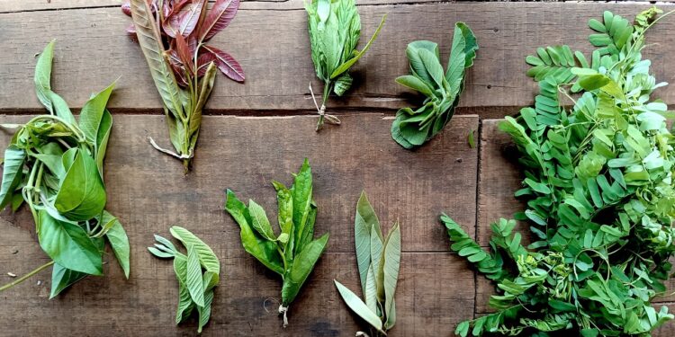 Mbah Candi dan Tangan yang Meracik Ramuan Pelancar Air Susu Ibu