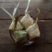 Hari Raya Ketupat, Lebaran Kedua ala Islam Jawa