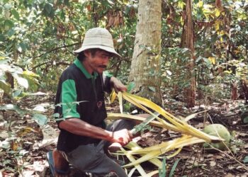 Melihat Bentir dari Sela-sela Daun Kelapa di Hari Raya, Sebuah Cerita dari Bali Barat