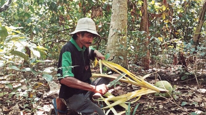 Melihat Bentir dari Sela-sela Daun Kelapa di Hari Raya, Sebuah Cerita dari Bali Barat