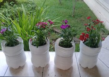 Sudah Saatnya Membangun “Eco Office” di Tempat Kerja