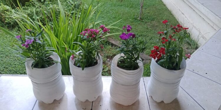 Sudah Saatnya Membangun “Eco Office” di Tempat Kerja