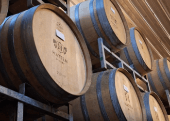 Wine Knowledge: Sentuhan Global dalam Pendidikan Vokasi