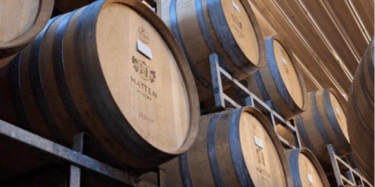 Wine Knowledge: Sentuhan Global dalam Pendidikan Vokasi