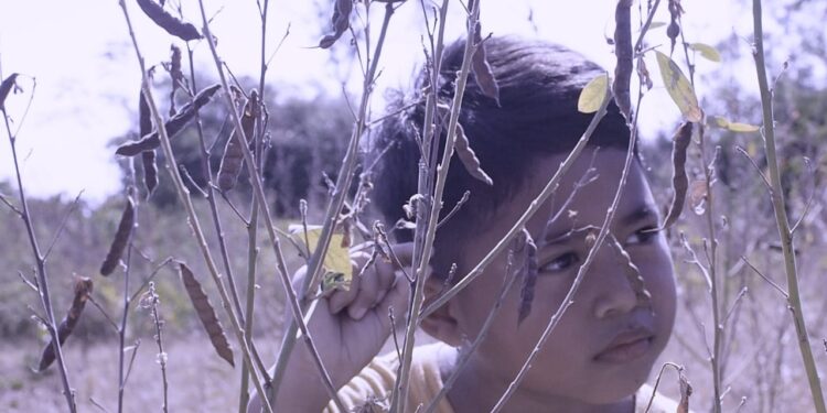 Film “Story” dan “AI’r”: Tekhnologi dan Lain-lain | Catatan dari Layar Kolektif Bali Utara